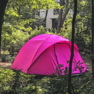 I RETURNED HOME FROM MY DAUGHTER’S FUNERAL TO FIND A TENT IN MY BACKYARD.